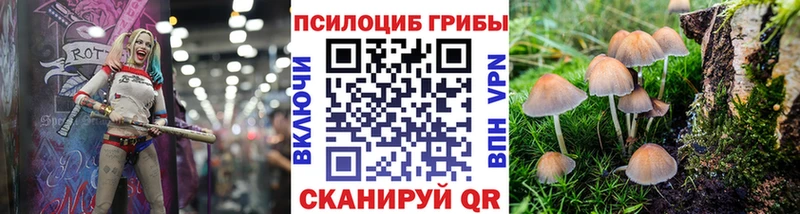 Галлюциногенные грибы GOLDEN TEACHER  Донецк 